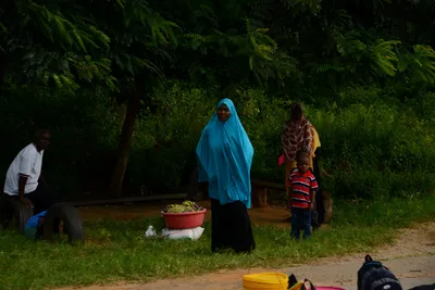 DSC_8083 (Large).JPG